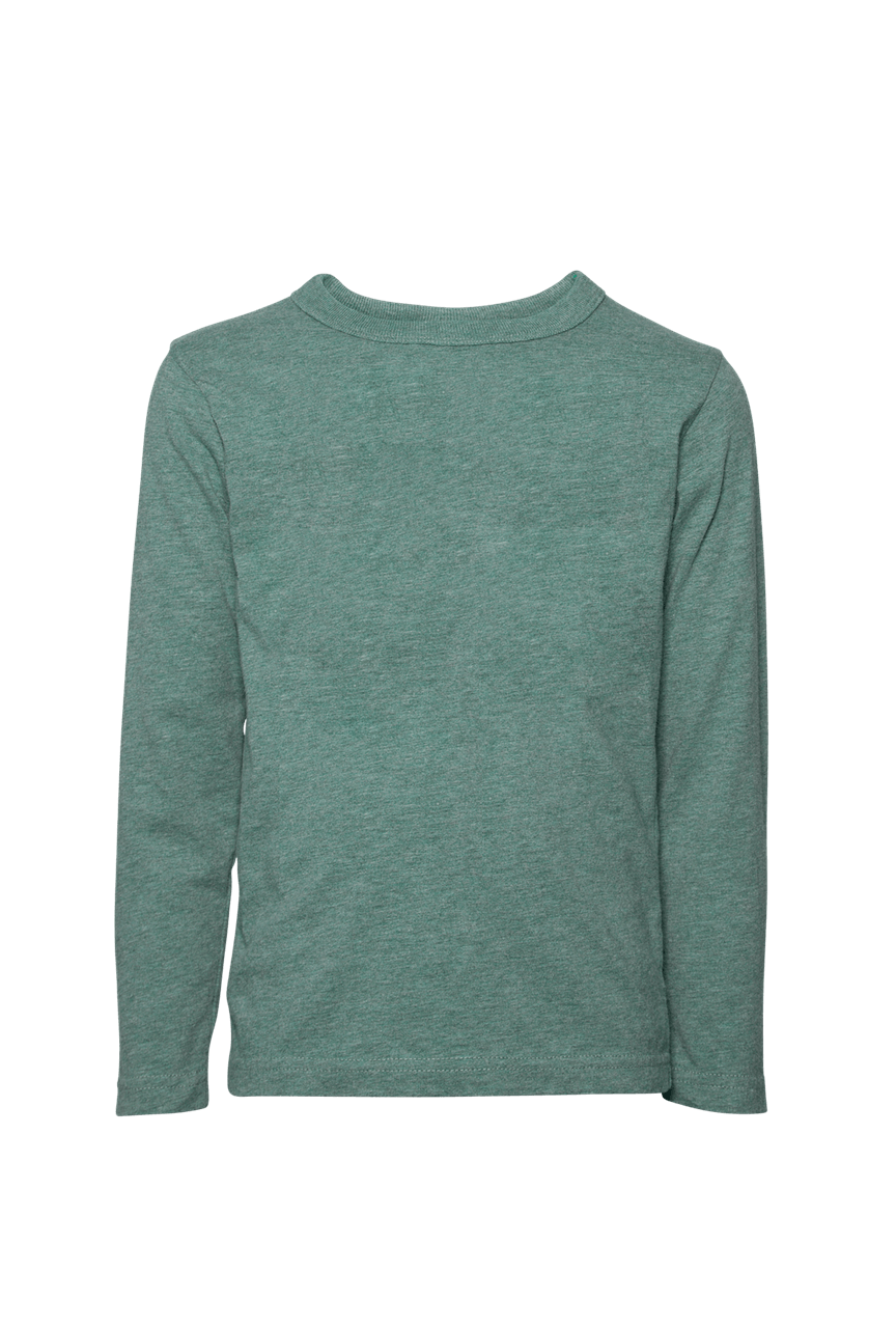 isolated-t-shirt-ga51266b4b_1280.png